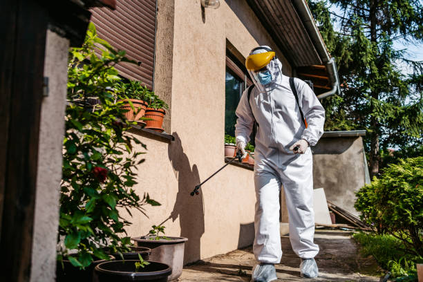 Best Flea Control Services  in Union City, NJ