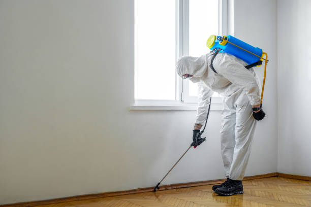 Wildlife Control Services in Union City, NJ