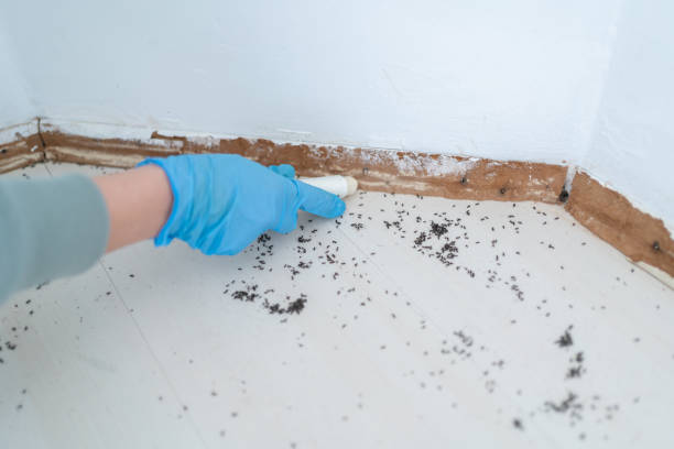 Wildlife Control Services in Union City, NJ