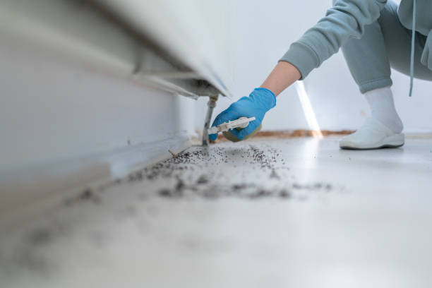 Best Affordable Pest Control Services  in Union City, NJ